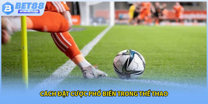 Cách đặt cược phổ biến trong thể thao