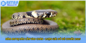 Nằm mơ bị rắn cắn vào chân