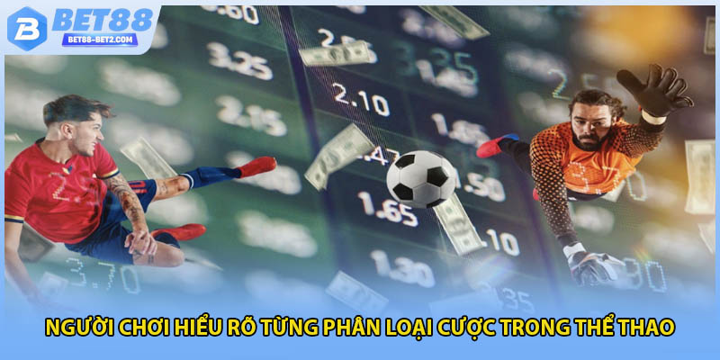 Người chơi hiểu rõ từng phân loại cược trong thể thao