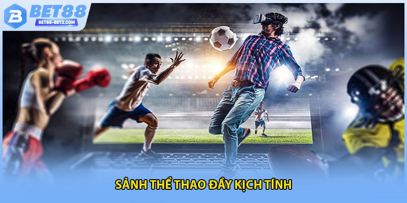Sảnh thể thao đầy kịch tính